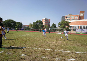 IMG_0116.JPG